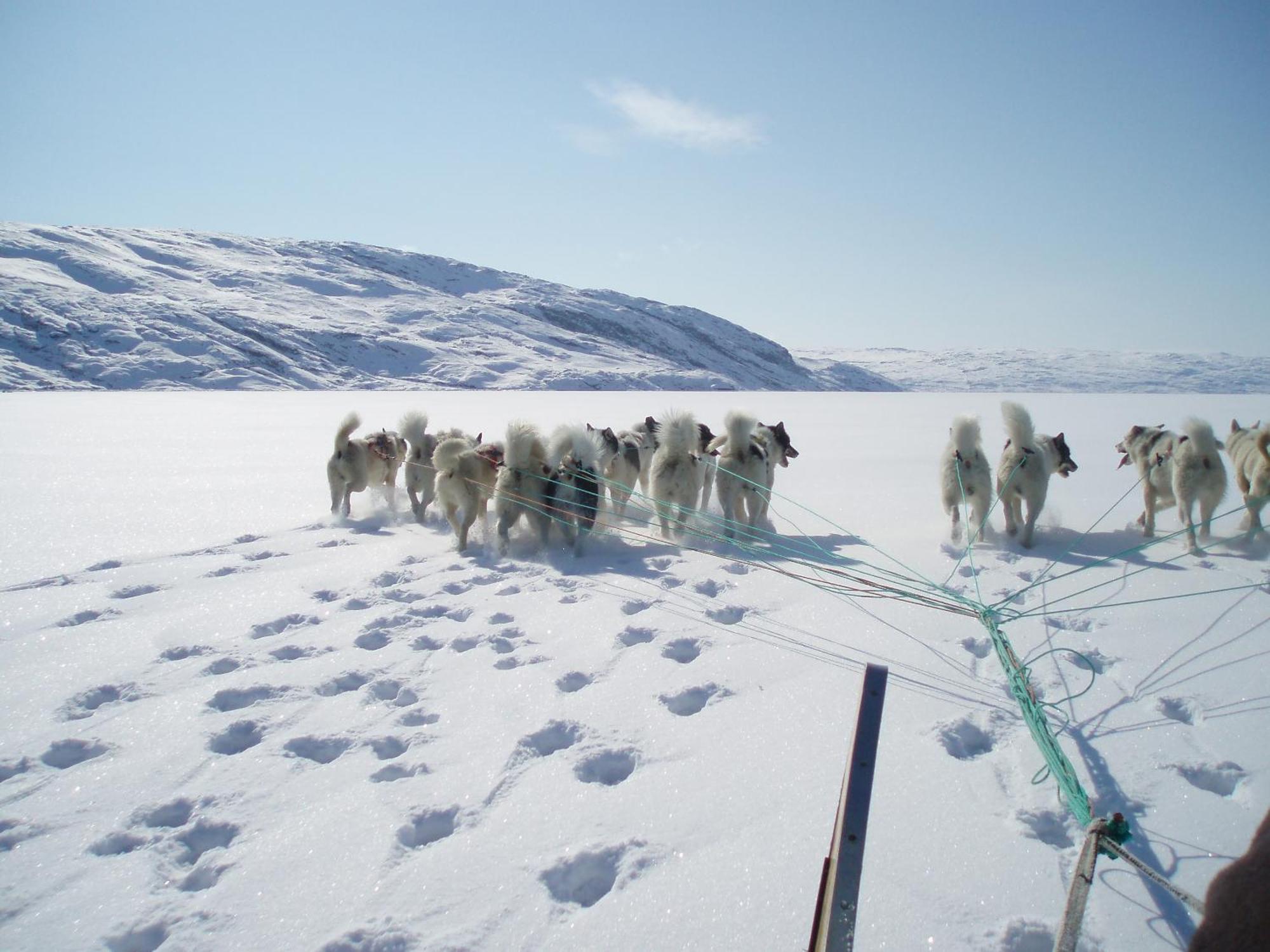 Hotel Icefiord Илулиссат Экстерьер фото